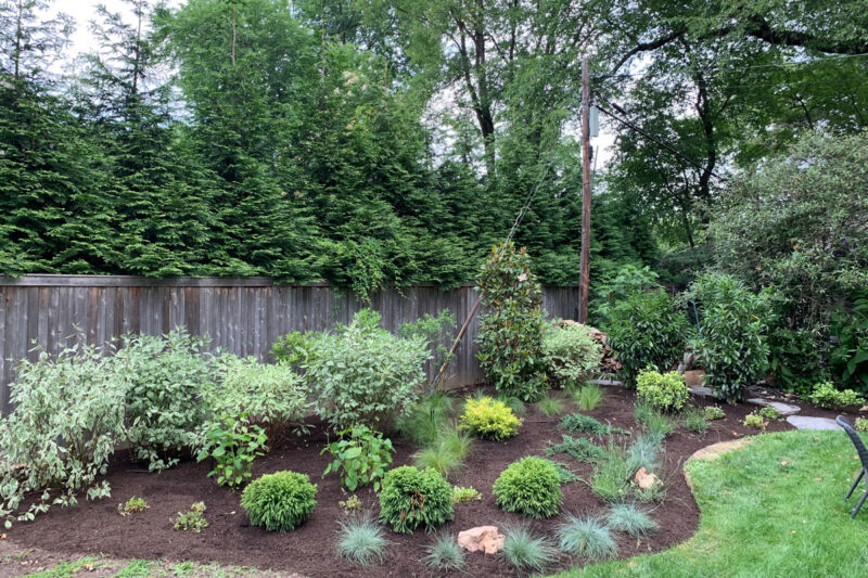 New firepit garden (photo by Dave Sztenderowicz)