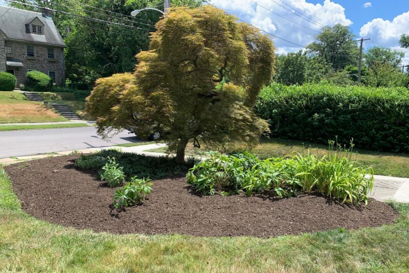 After cleanup (photo credit Dave Sztenderowicz)